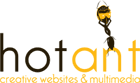 hot ant logo
